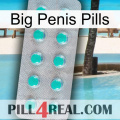 Big Penis Pills 28